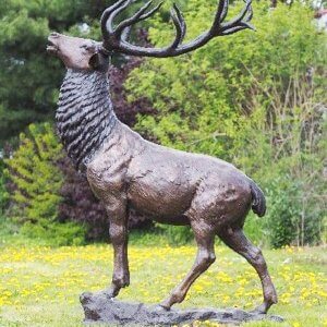 buck deer bronze sculpture