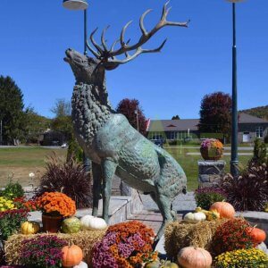 Bronze Elk Statue