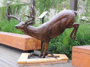 bronze whitetail deer sculpture