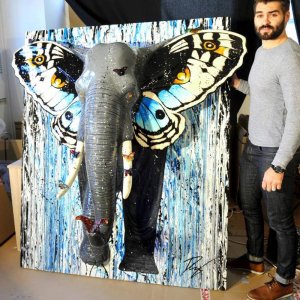 julien durix elephant