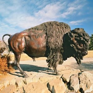 Bronze Bison Sculpture For Sale