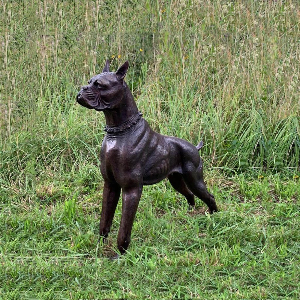 Bronze Boxer Dog Statue For Sale - Image 4