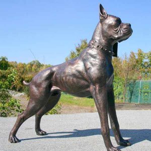Bronze Boxer Dog Statue For Sale