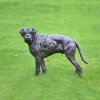 Bronze Boxer Dog Sculpture For Sale - Image 4