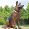 Antique Bronze Dog Statues For Sale - Image 2
