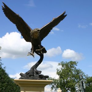 Bronze Eagle Statue For Sale