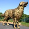 Bronze Hunting Dog Sculpture For Sale - Image 4