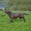 Bronze Hunting Dog Sculpture For Sale - Image 3
