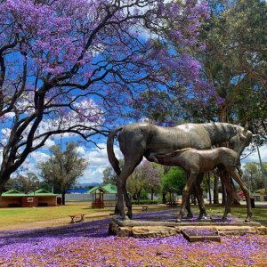 Large Bronze Horse Statues For Sale