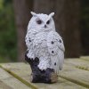 Resin White Owl Figurine For Sale - Image 3