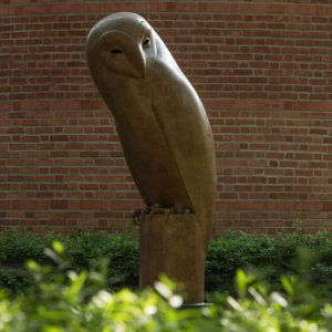 Bronze Backyard Owl Statue For Sale