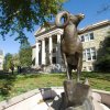 Outdoor Bronze Big Horn Sheep Sculpture For Sale - Image 2