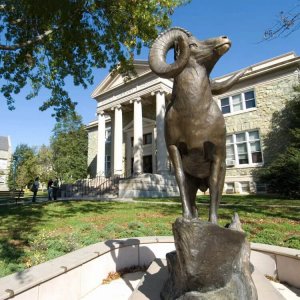 Bronze Big Horn Sheep Statue For Sale