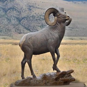 Life Size Bighorn Sheep Sculpture For Sale
