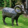 Life Size Bighorn Sheep Bronze Sculpture For Outdoor - Image 2