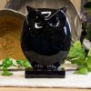 Resin Black Owl Statue For Sale