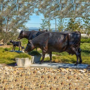 Bronze Cow Statue For Sale
