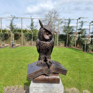 Bronze Owl Sculpture For Sale