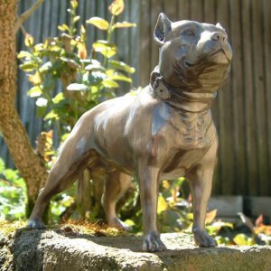 Bronze Pitbull Statue For Sale