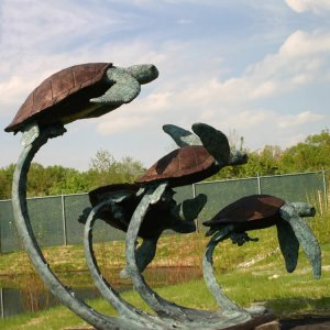 Bronze Sea Turtle Sculptures For Sale
