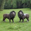 Outdoor Life Size Bronze Lion Sculptures For Sale