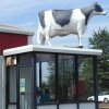 Outdoor Fiberglass Cow Statues For Sale