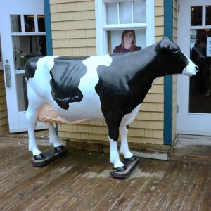 Wholesale Fiberglass Large Cow Statue For Sale