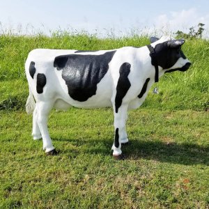 Fiberglass Large Cow Statues For Sale