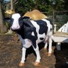 Outdoor Fiberglass Cow Statues For Sale - Image 4