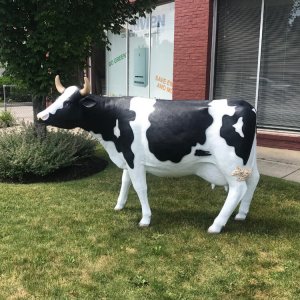 Wholesale Fiberglass Life Size Cow Statue For Sale