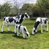 Fiberglass Cow Feeding Calf Statue For Sale - Image 4