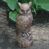 Bronze Great Horned Owl Statue For Sale