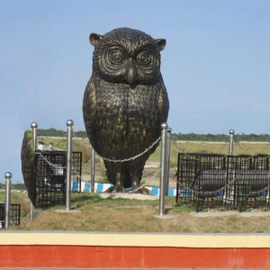 Bronze Huge Owl Statue For Sale