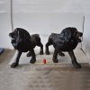 Factory Supply Bronze Large Lion Statue Outdoor