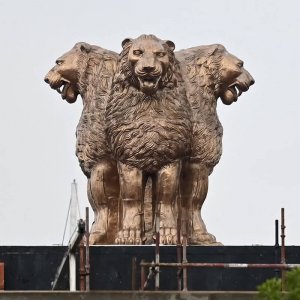 Outdoor Square Bronze Large Lion Statues For Sale
