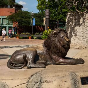 Bronze Metal Lion Statue For Sale