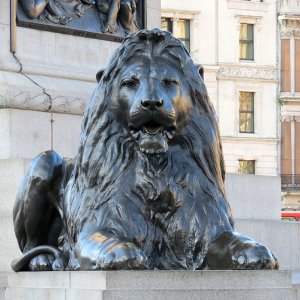 Hand Carved Bronze Lion Statue In Front Of Homes