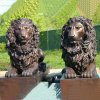 Outdoor Life Size Bronze Lion Sculptures For Sale - Image 2