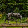 Lurcher Bronze Sculpture For Sale - Image 3