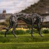 Lurcher Bronze Sculpture For Sale