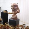 Bronze Owl Bust For Sale