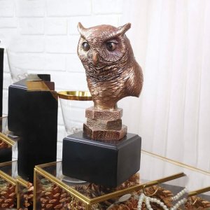 Bronze Owl Bust For Sale