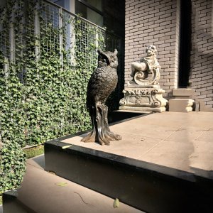 Bronze Owl Statue To Scare Pigeons