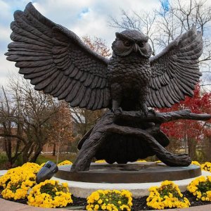Bronze Owl Garden Statue For Sale