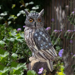 Resin Cute Owl Statue For Sale