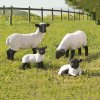 Life Size Fiberglass Shaun The Sheep Garden Ornament - Image 4