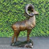 Life Size Bighorn Sheep Bronze Sculpture For Outdoor - Image 3