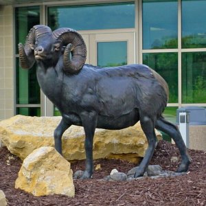 Life Size Bronze Sheep Sculpture For Sale