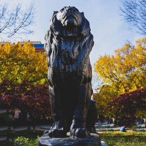 Outdoor Bronze Sitting Lion Statue For Sale