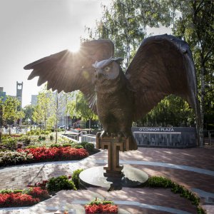 Bronze Statue Of An Owl For Sale